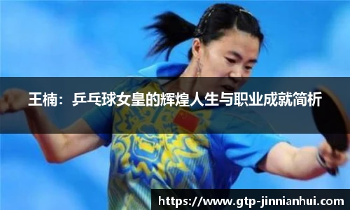 王楠：乒乓球女皇的辉煌人生与职业成就简析